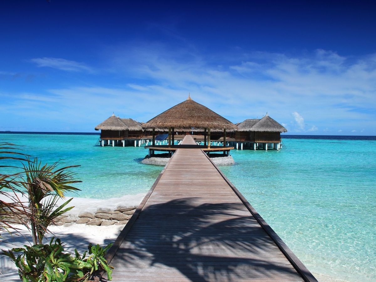 Indian News The Social Digest Maldives