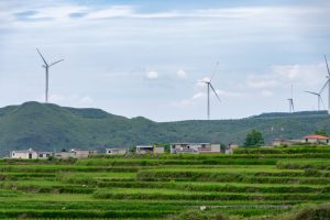 Read more about the article Highlighting Sustainable stories of 2023: Wind powered islands to Urban Forests
