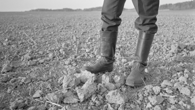 Droughts Europe