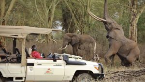 Read more about the article Rediscovering the Wild: Finch Hattons Introduces Walking Safaris in Kenya’s Tsavo National Park