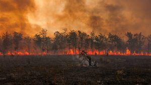 Read more about the article Europe’s Wildfires Are Unearthing WWII Bombs — and Reawakening a Deadly Past Beneath the Ash