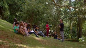 Read more about the article Rethinking Education for a Sustainable Future